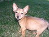 Maggie