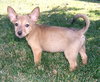 Maggie