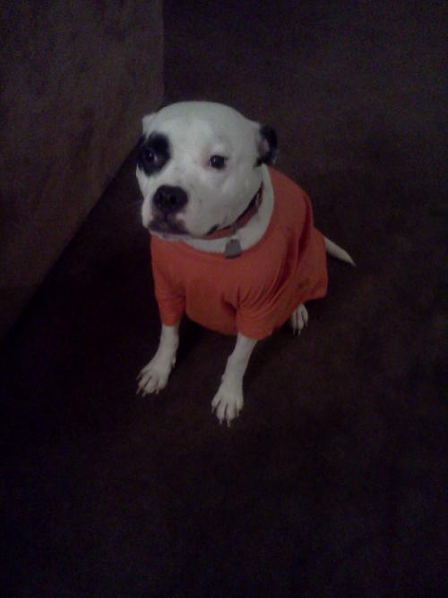 Petey