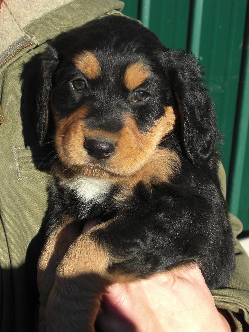 Buster
