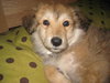 Rudy