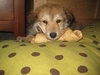 Rudy