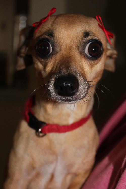 Lola
