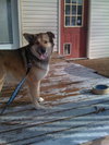Sammy2