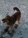 Sammy2