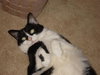 Laverne