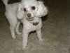 Charlie