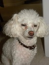 Charlie