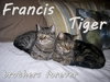 Francis