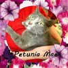 Petunia Mae Chatsworth