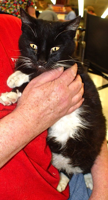 Gussie Mae Chatsworth