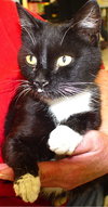 Gussie Mae Chatsworth
