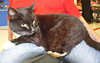 Gussie Mae Chatsworth