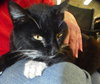 Gussie Mae Chatsworth
