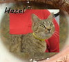 Hazel Chatsworth