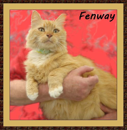 Fenway Chatsworth