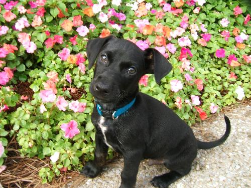 Barkley