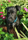 Barkley