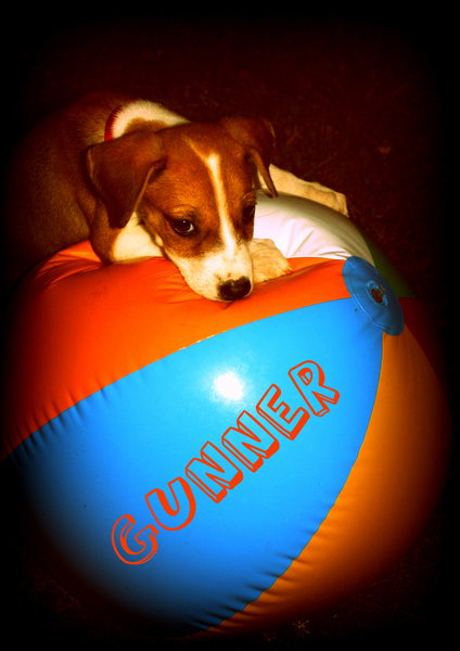 Gunner