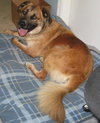 Max