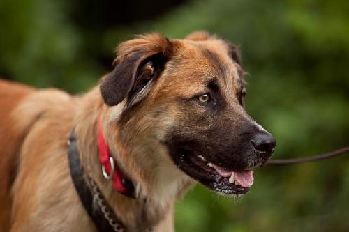 Max