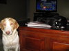 Ellie Brittany