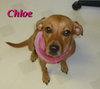 Chloe