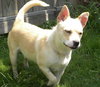 Maxie