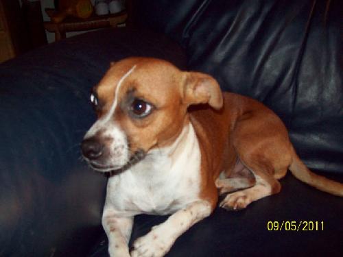 Molly