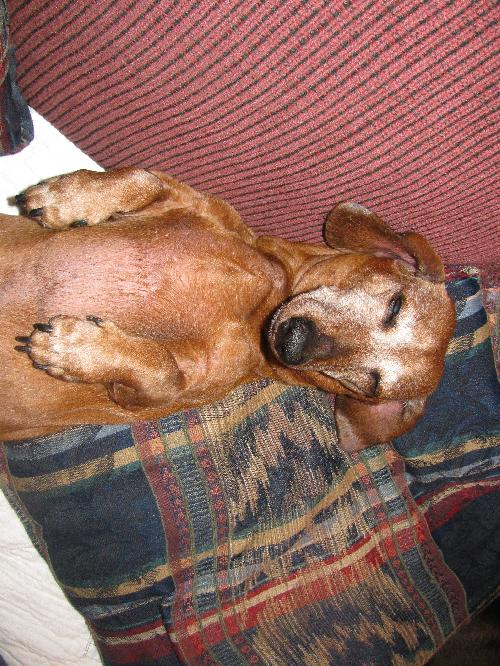 Roscoe