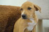 Addie