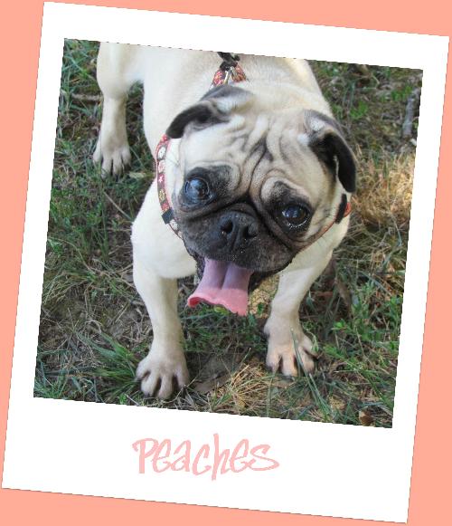 Peaches