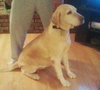 Carly