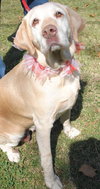 Carly