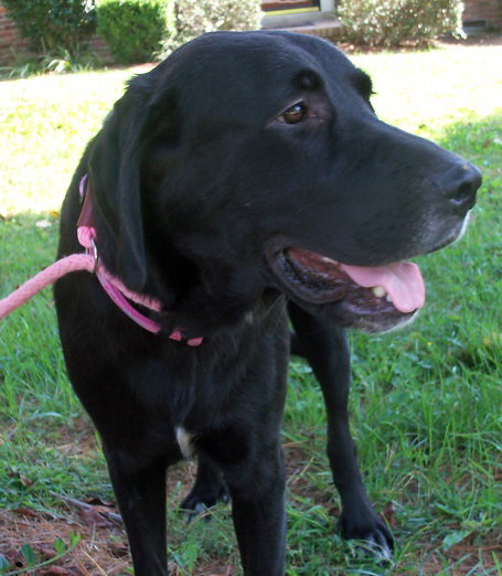 Georgia