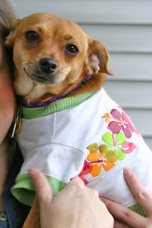 Gracie