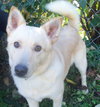 Toby