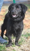 Georgia