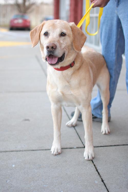 Max