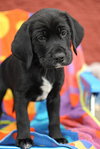 Tucker