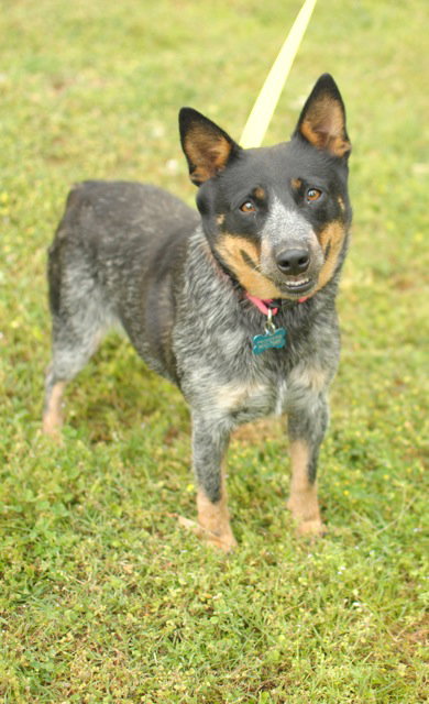 Trixie Ann