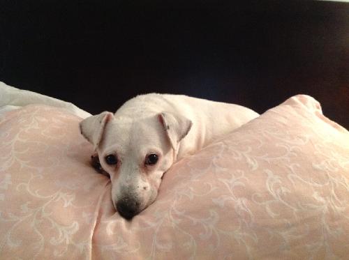 Lucy