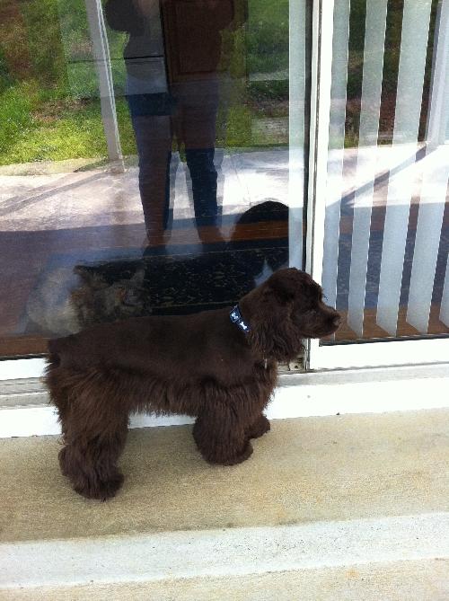 Hershey
