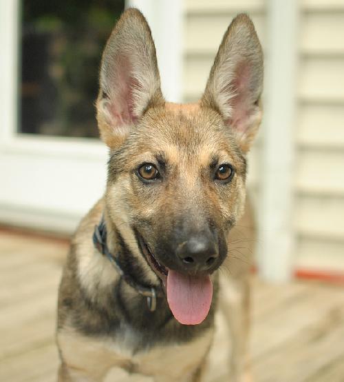 Cheyenne
