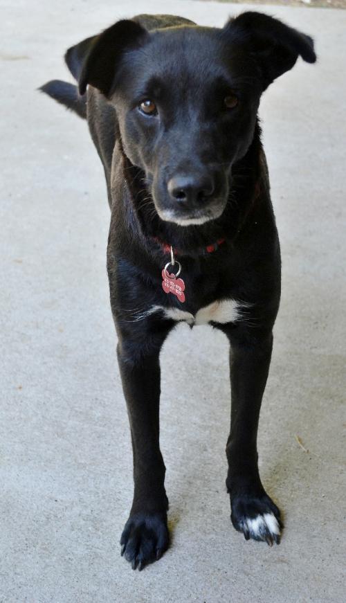 Bella