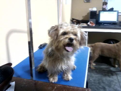 Oliver