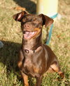 Heidi