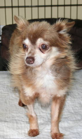 Charley