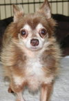 Charley