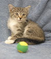 Sebastian